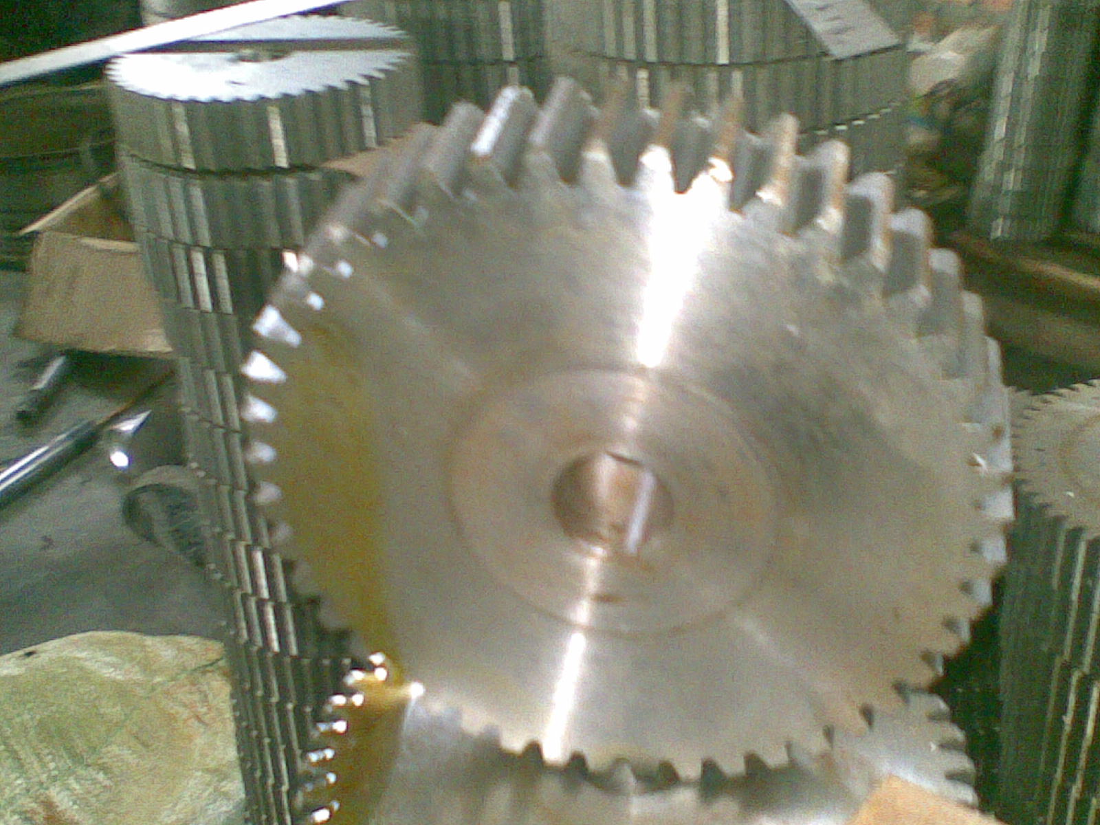 20090502_003.jpg
