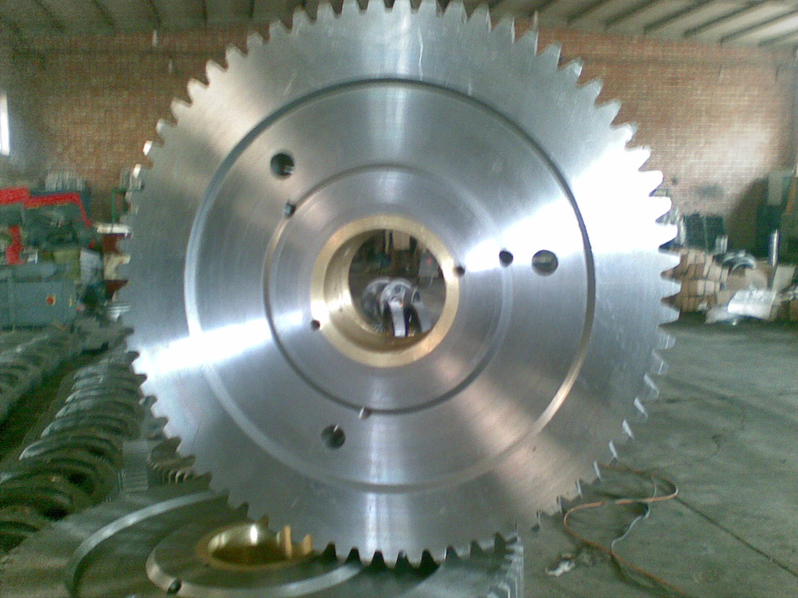 20090502.jpg