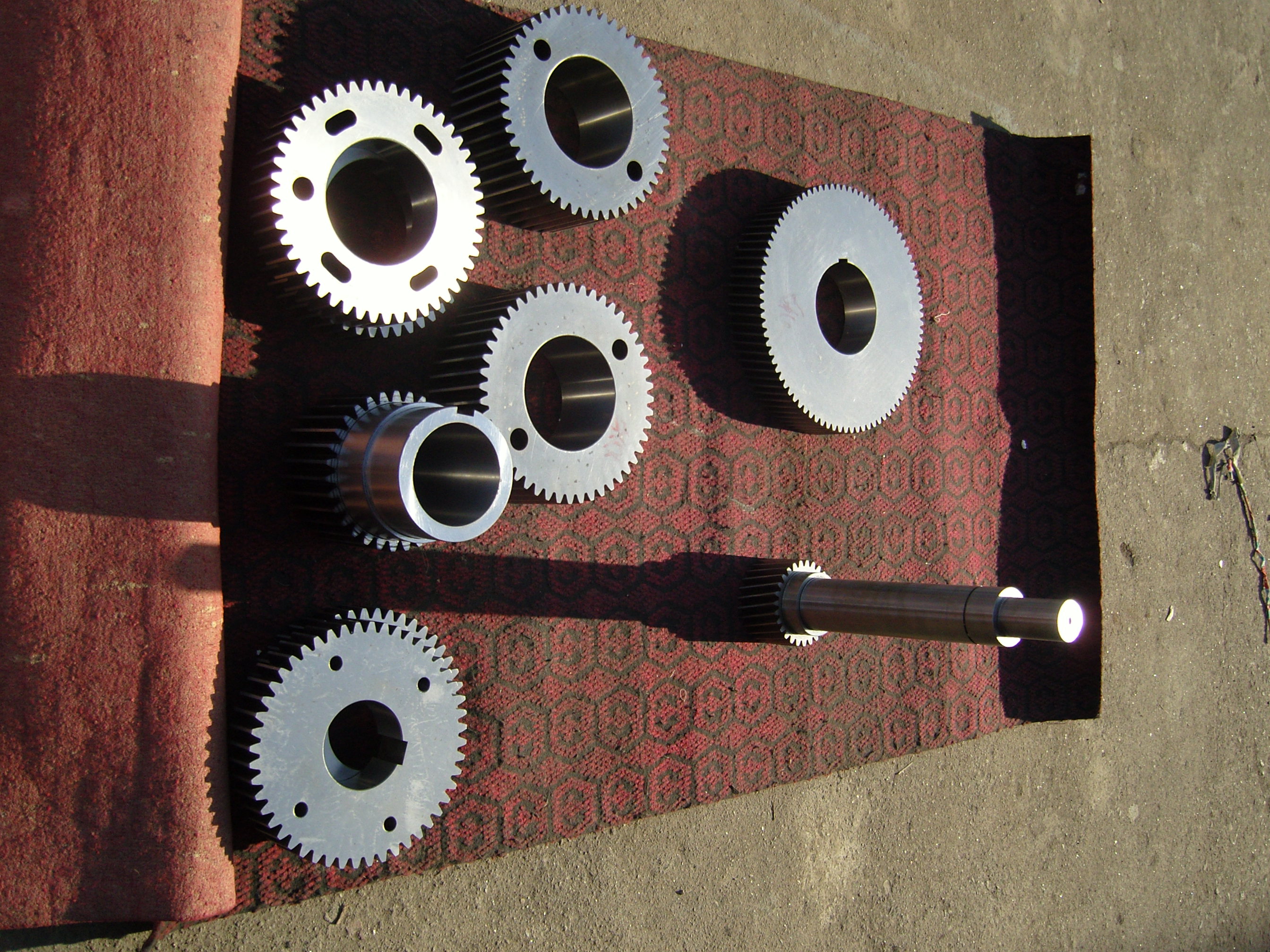 SNC10600.JPG