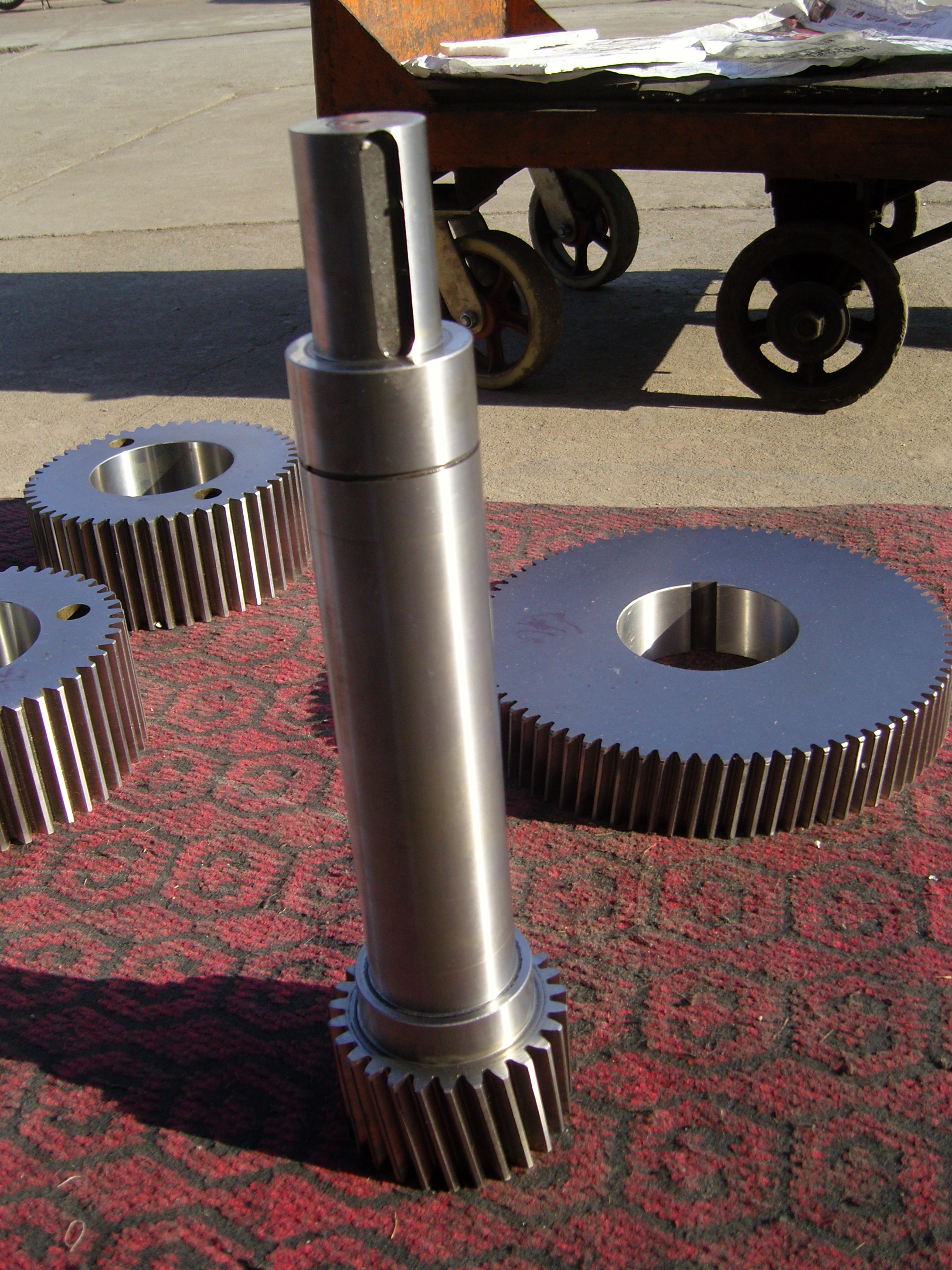 SNC10594.JPG