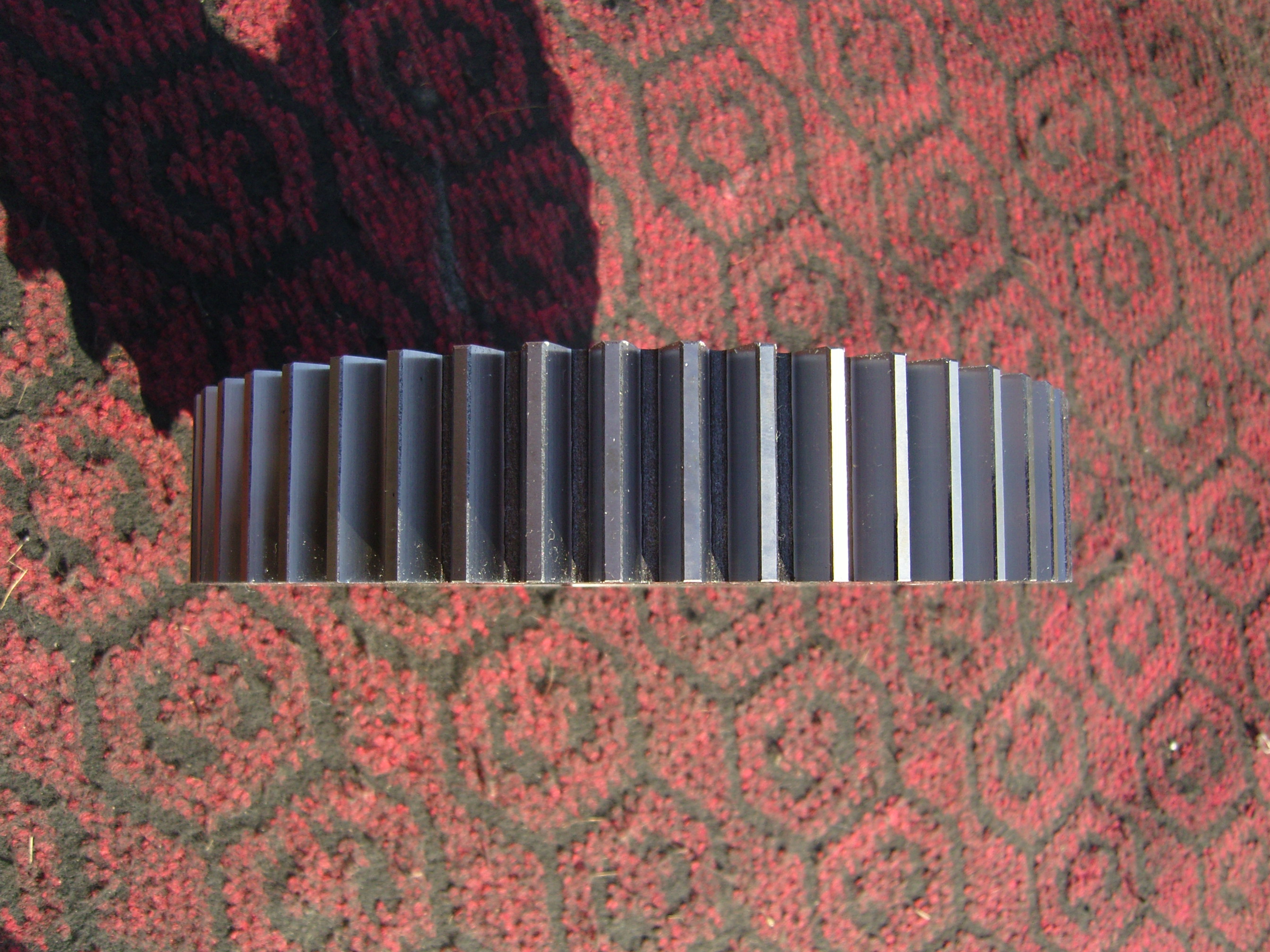 SNC10576.JPG