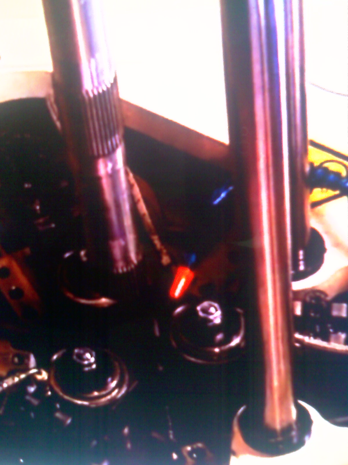 IMAG0103.jpg