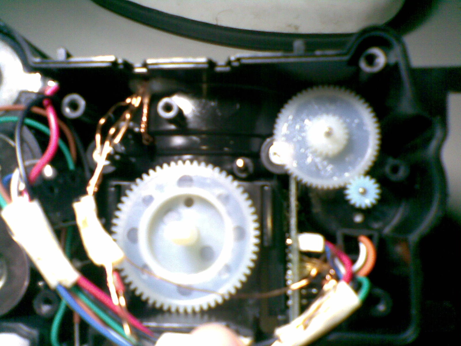 20100810(003).jpg