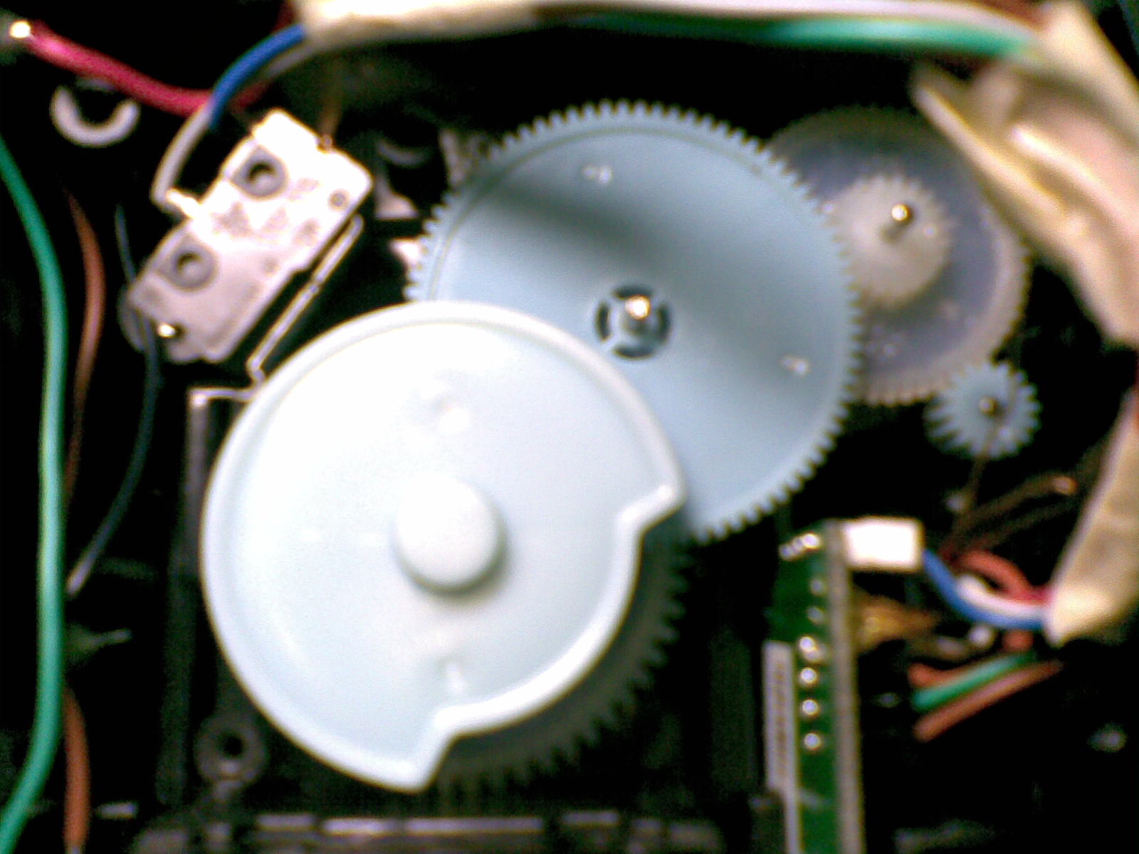 20100810(005).jpg