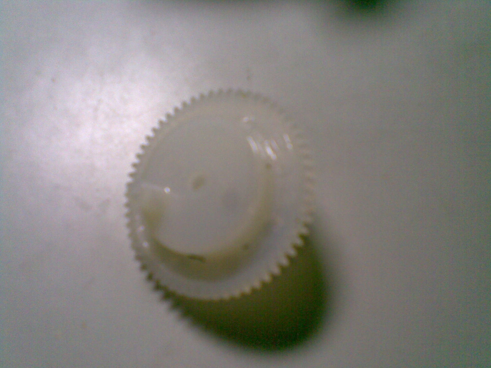 20100810(006).jpg