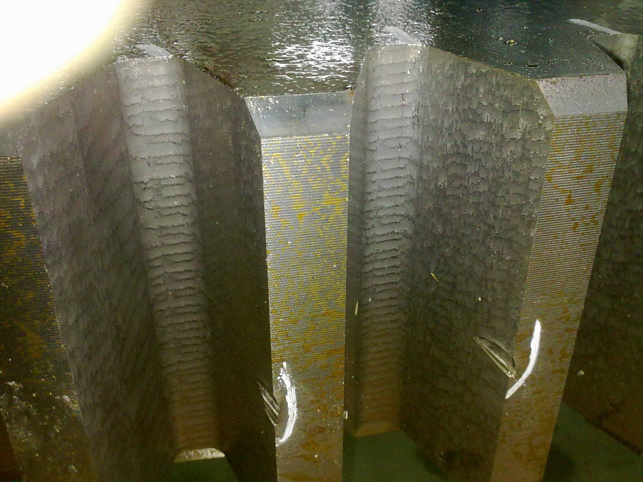 20100812005.jpg
