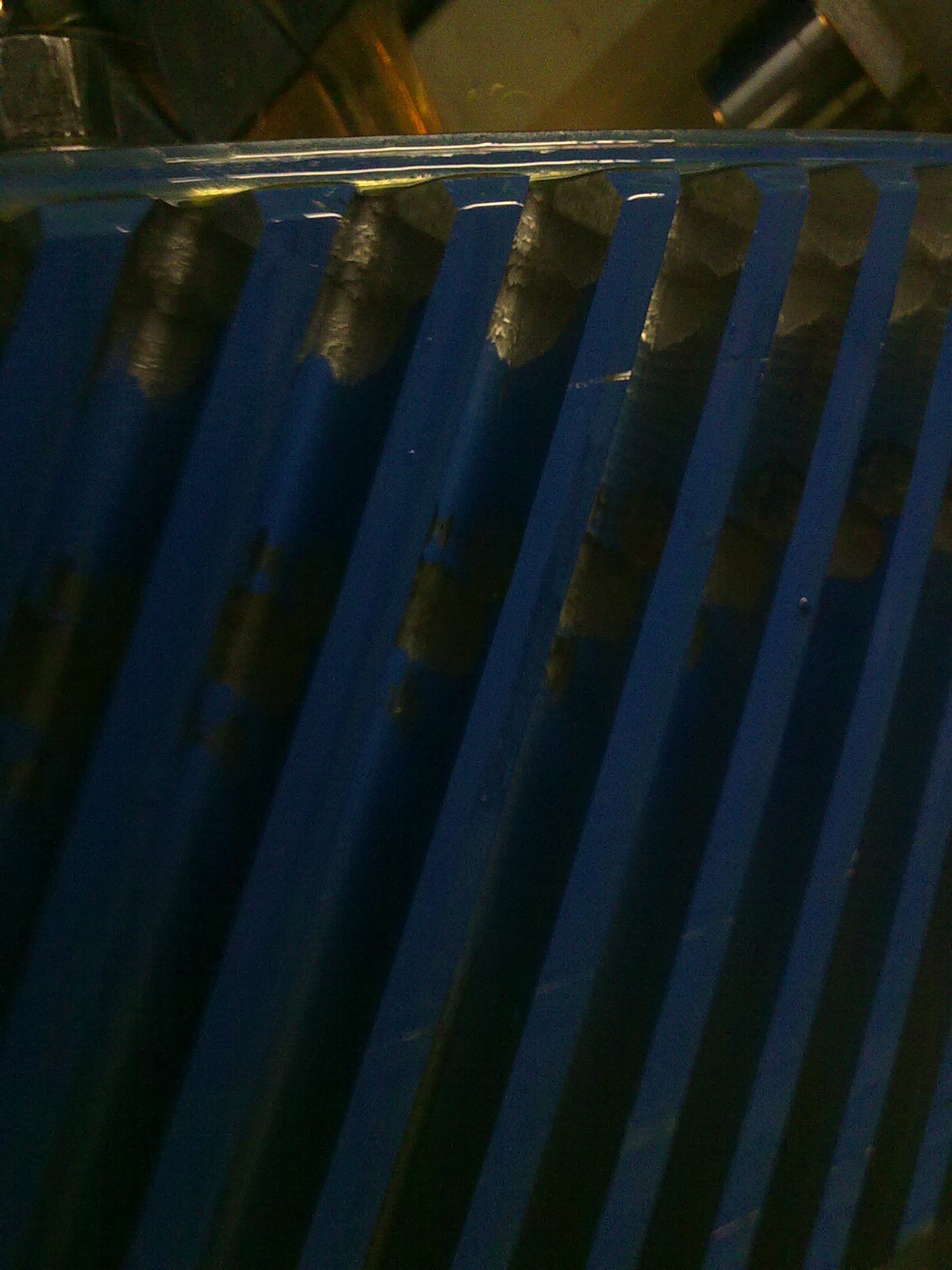 20100814524.jpg