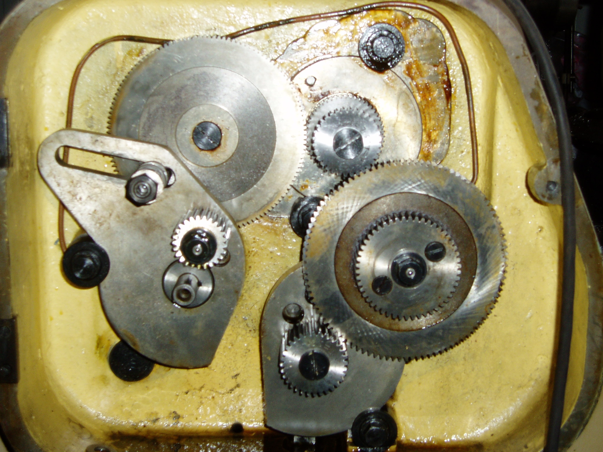 P1010017.JPG