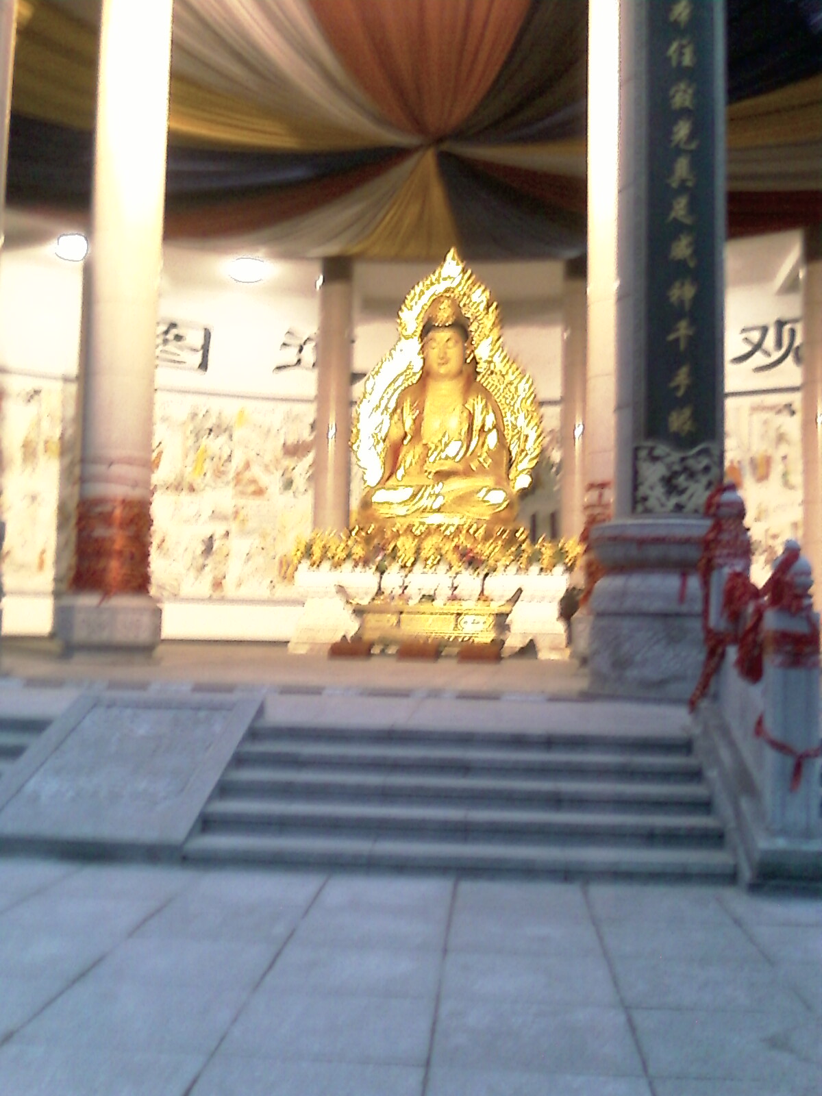 IMAG0137.jpg