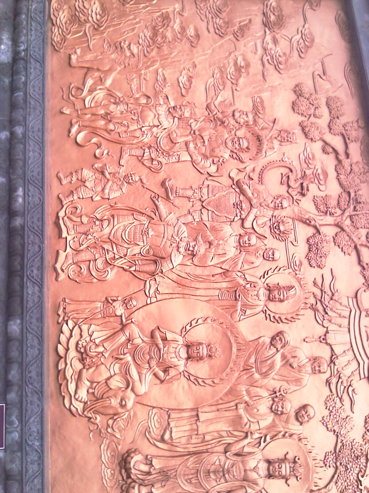 IMAG0142.jpg
