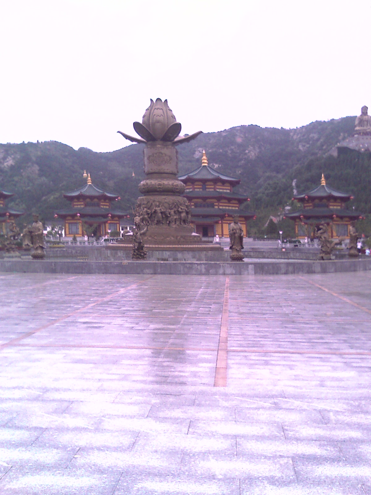 IMAG0152.jpg