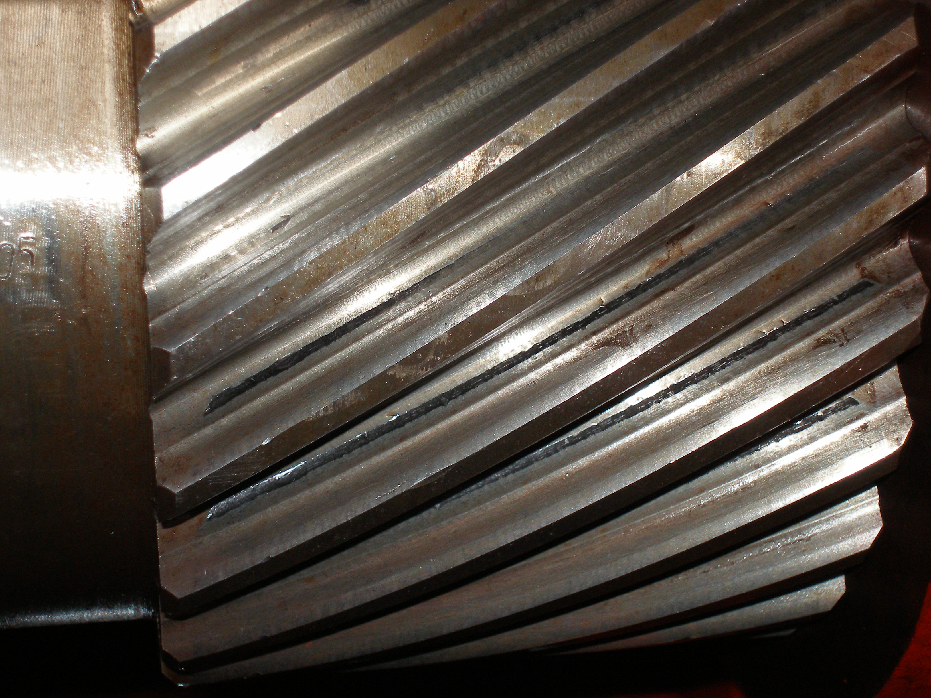 PA100137.JPG