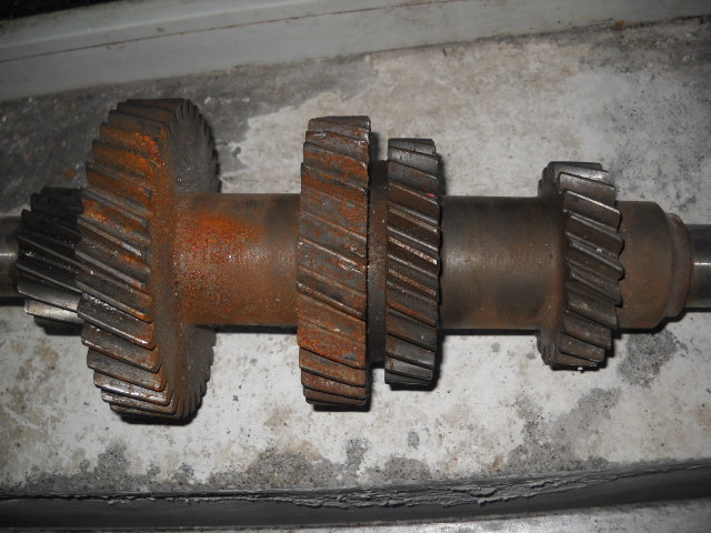 DSCN0511.JPG