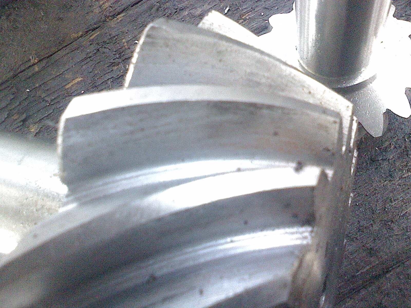 IMG0307130901.jpg