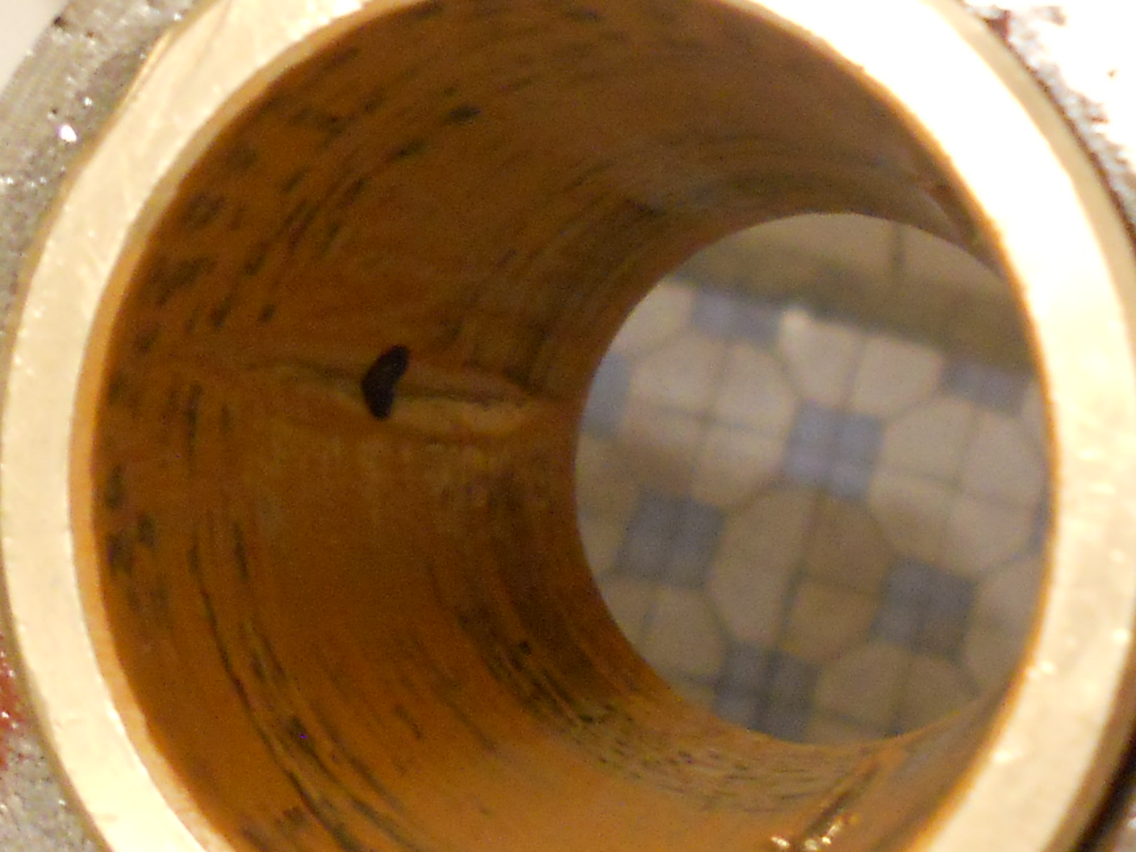 RSCN0537.jpg