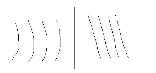 ޱ.jpg