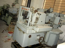 Y7132.jpg