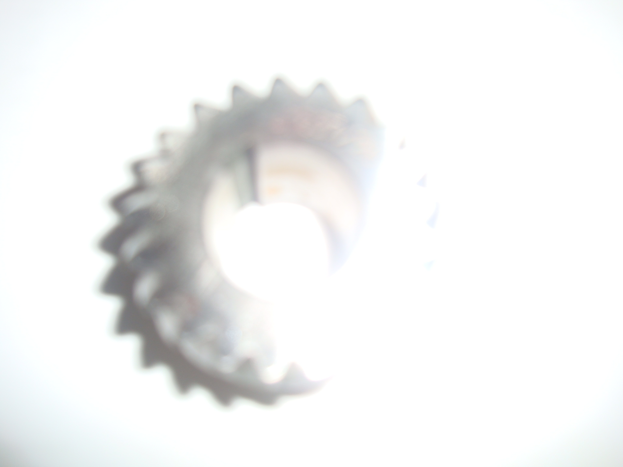 DSC01804.JPG