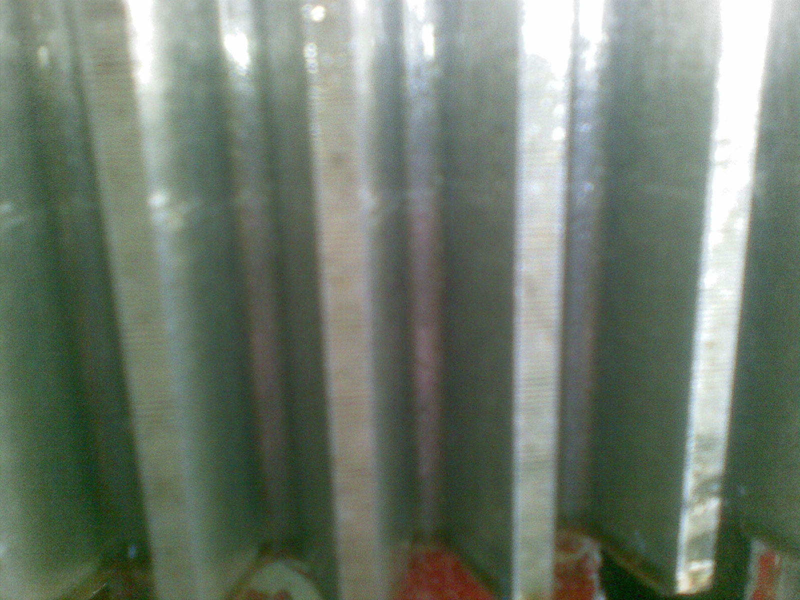 20120218(003).jpg