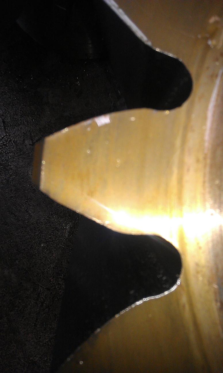 IMAG0359.jpg