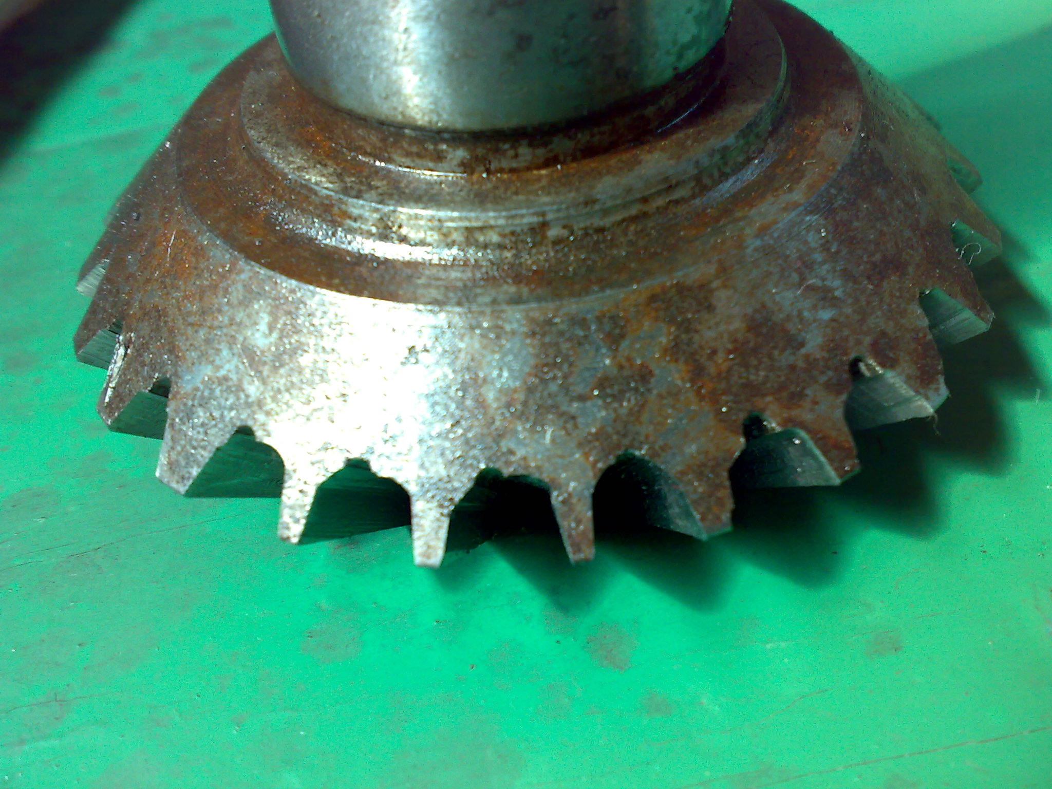 20121011039.jpg