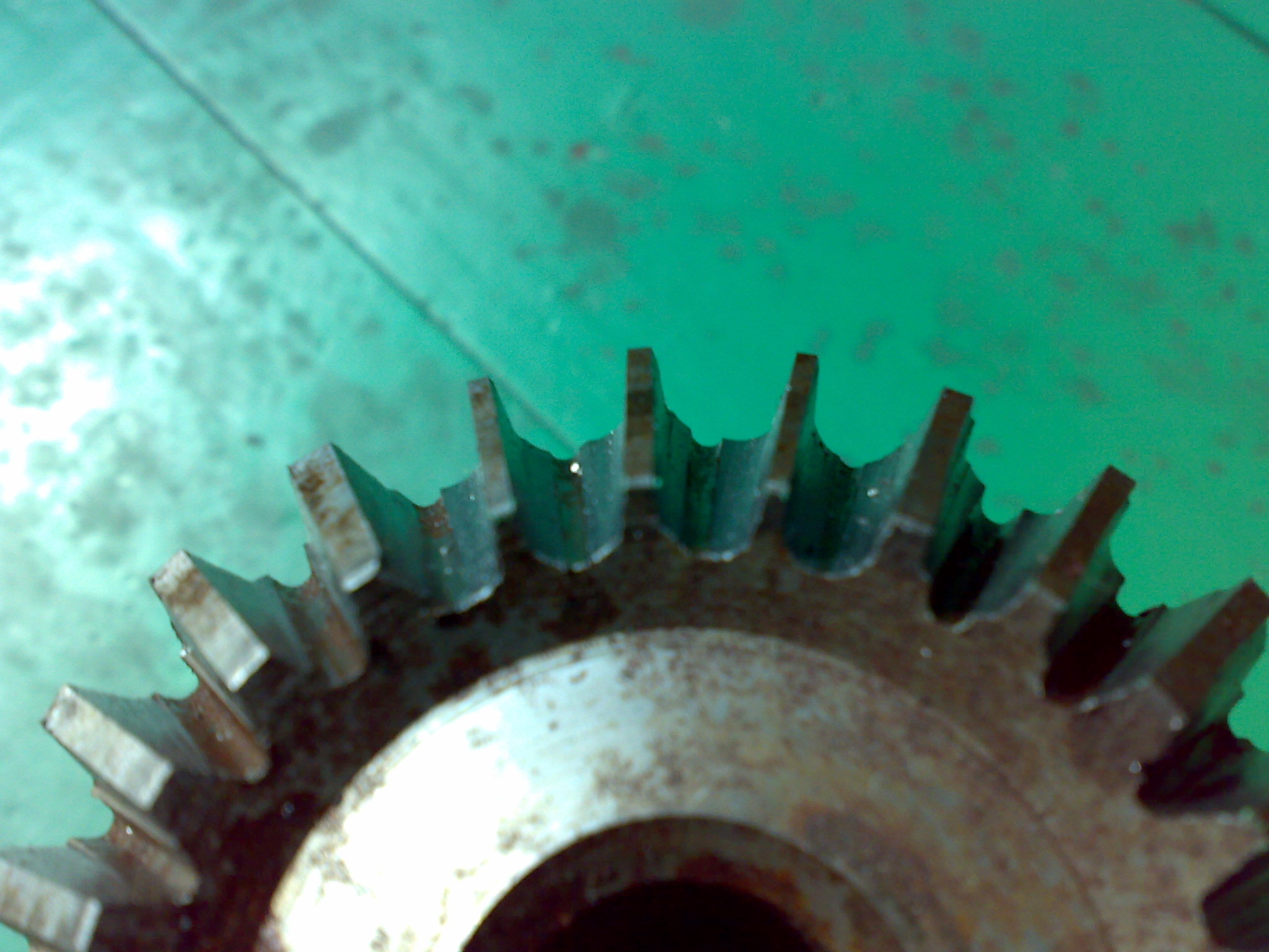 20121011044.jpg