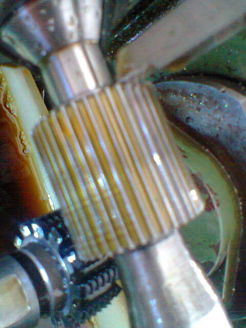 Ƭ0085.jpg