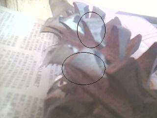 IMG0077A.jpg