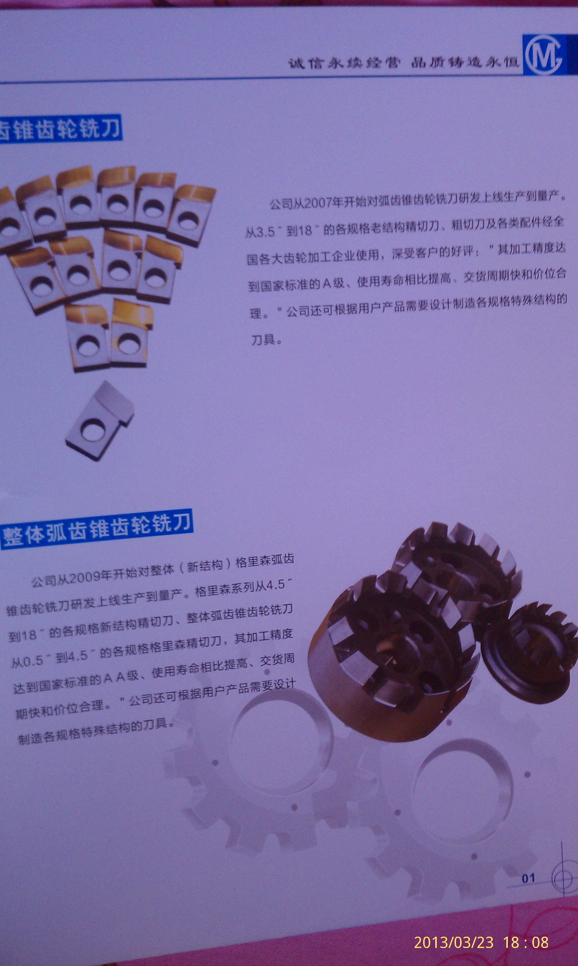 IMAG0257.jpg