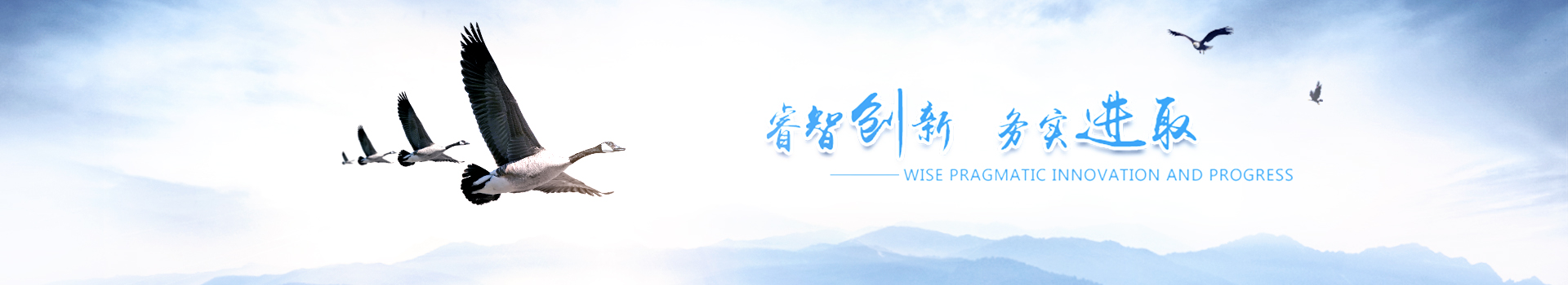 banner_5.jpg