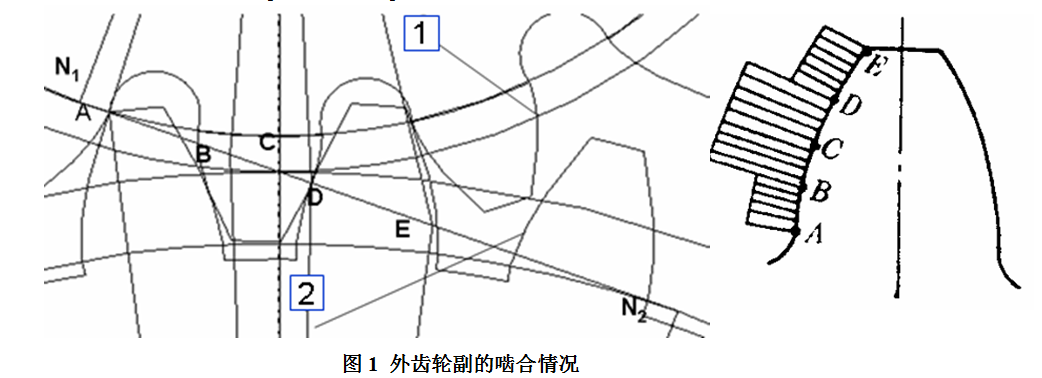 ޱ.png