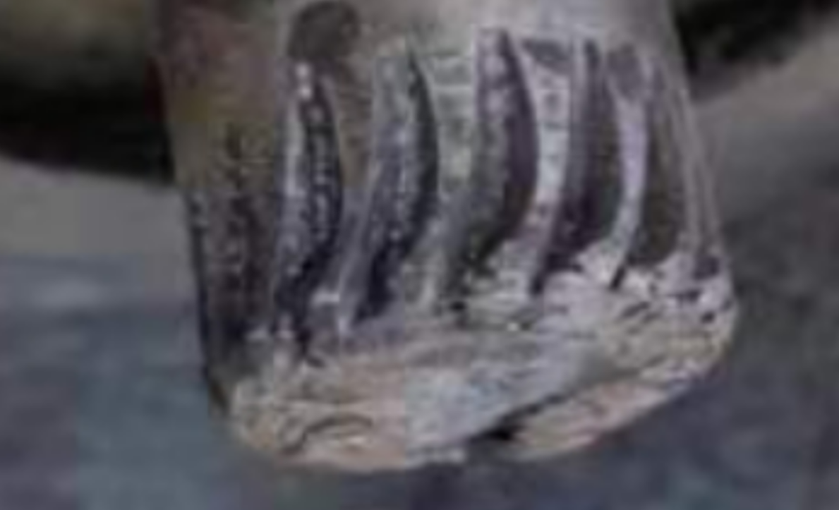 ΢ͼƬ_20240907104425.png