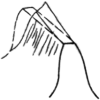 c10.gif