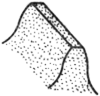 c7.gif