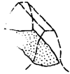 c5.gif
