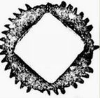 gear_01.jpg