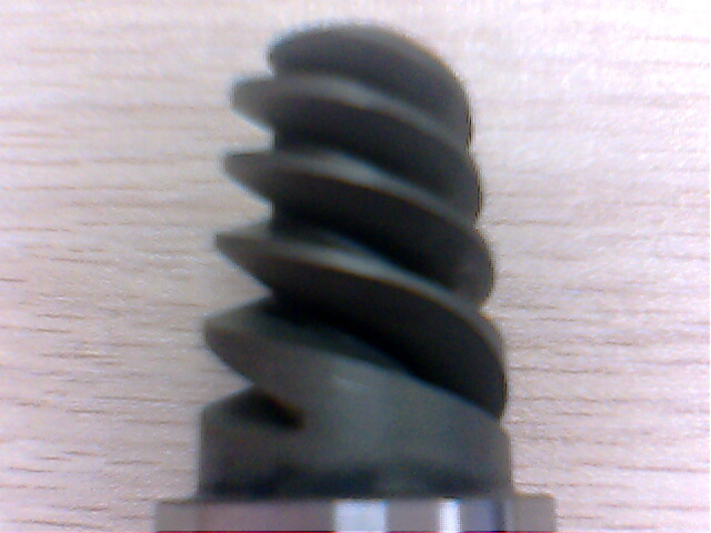 IMG0955A.jpg