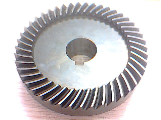 IMG0951A.jpg