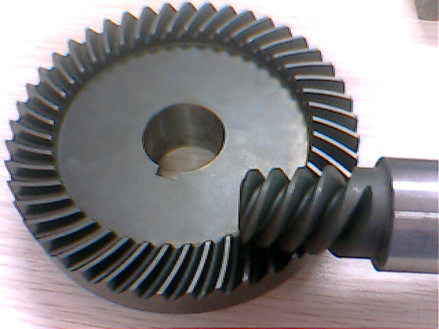 IMG0954A.jpg