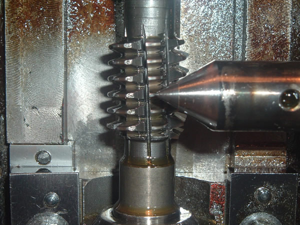 DSCF4486.JPG