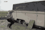 1228459362598.gif