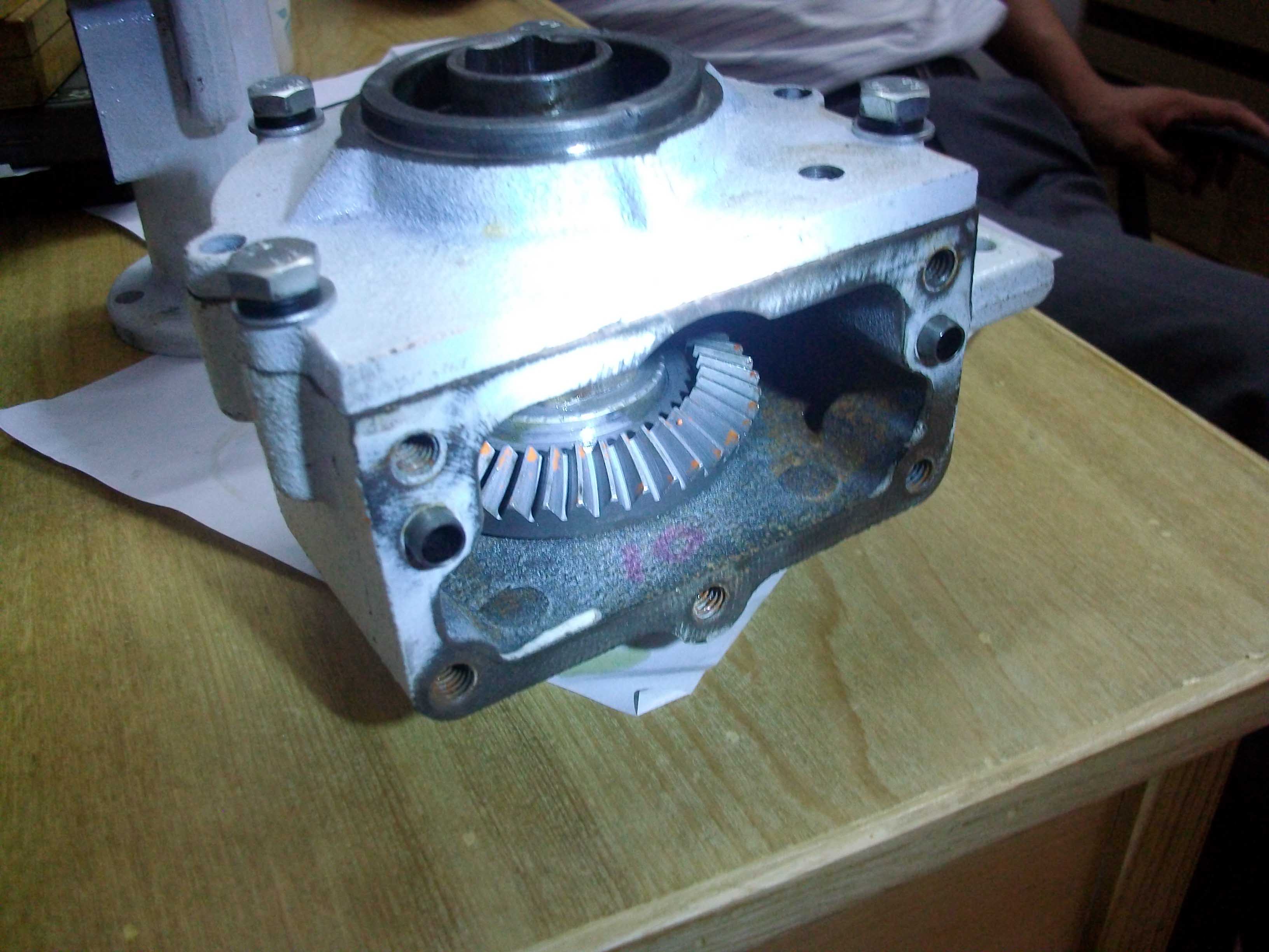 ALIM0632.JPG