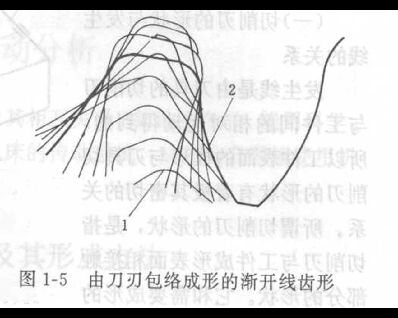 ppt4.jpg