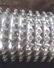 IMG0061A.jpg