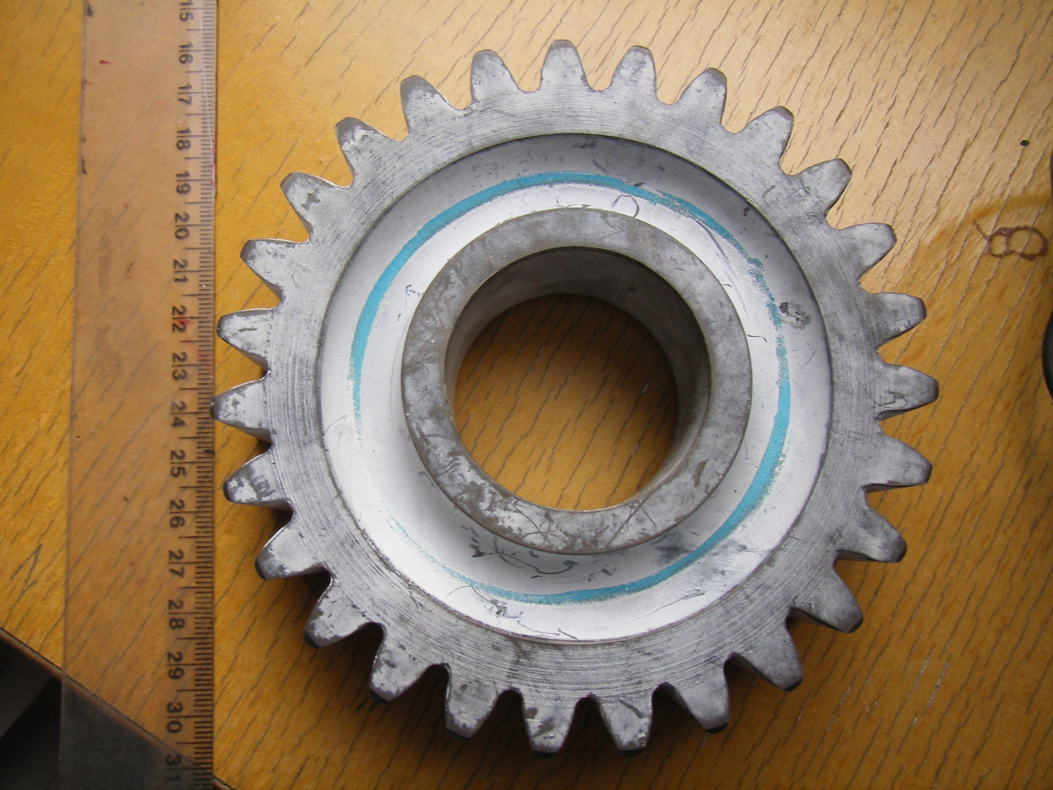 SL553671.JPG