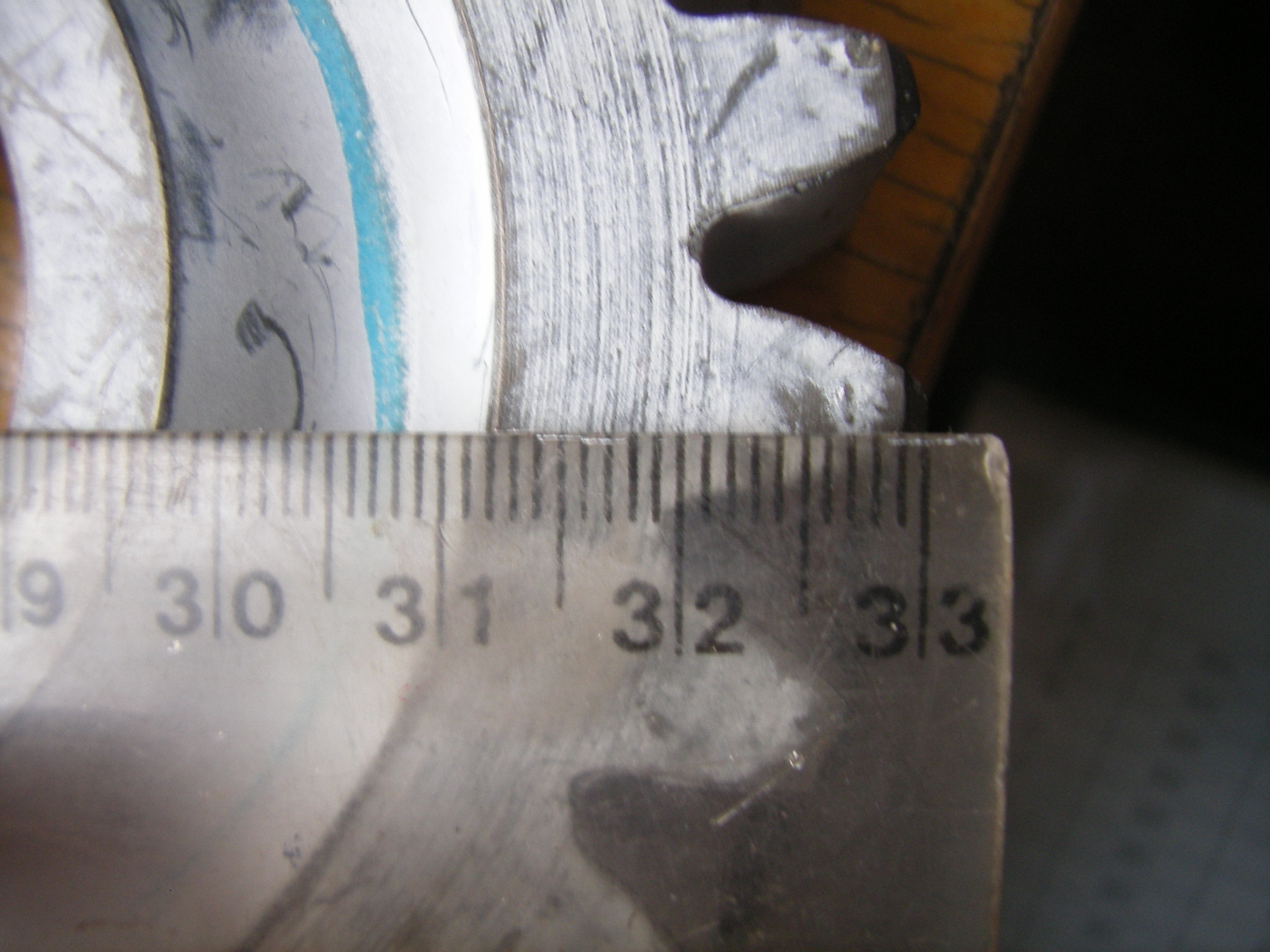 SL553674.JPG
