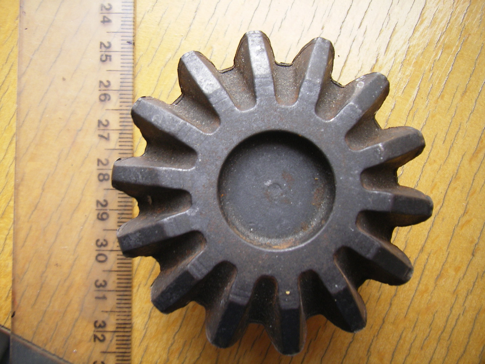 SL553663.JPG