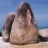 ϳҵ¼